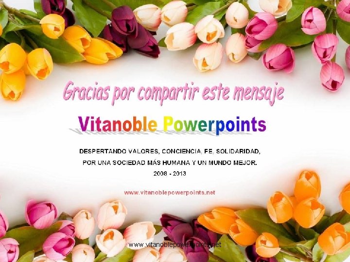 www. vitanoblepowerpoints. net 