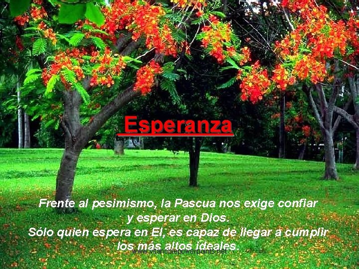Esperanza Frente al pesimismo, la Pascua nos exige confiar y esperar en Dios. Sólo