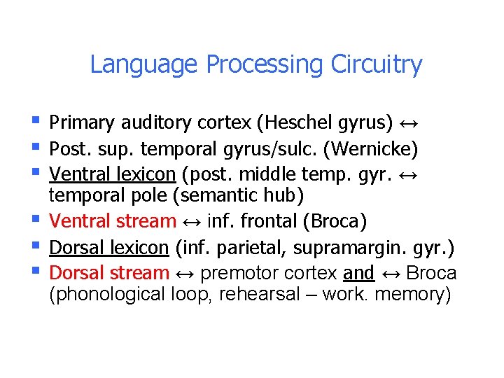 Language Processing Circuitry § § § Primary auditory cortex (Heschel gyrus) ↔ Post. sup. Language Processing Circuitry § § § Primary auditory cortex (Heschel gyrus) ↔ Post. sup.