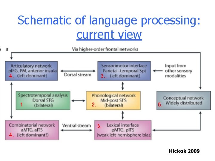 Schematic of language processing: current view 4. 3. . 1 2. 5. 3. 4. Schematic of language processing: current view 4. 3. . 1 2. 5. 3. 4.