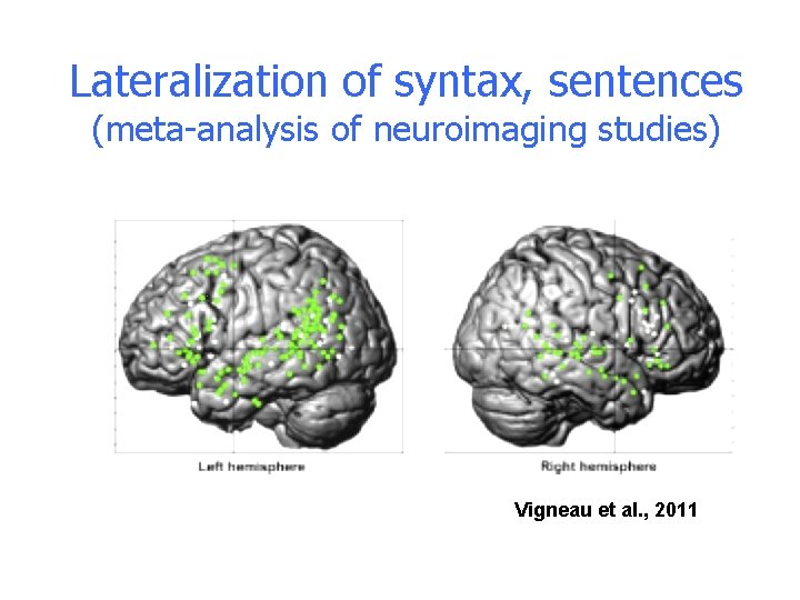Lateralization of syntax, sentences (meta-analysis of neuroimaging studies) Vigneau et al. , 2011 Lateralization of syntax, sentences (meta-analysis of neuroimaging studies) Vigneau et al. , 2011