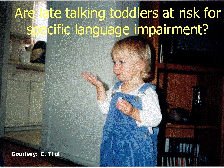 Are late talking toddlers at risk for specific language impairment? Courtesy: D. Thal Are late talking toddlers at risk for specific language impairment? Courtesy: D. Thal