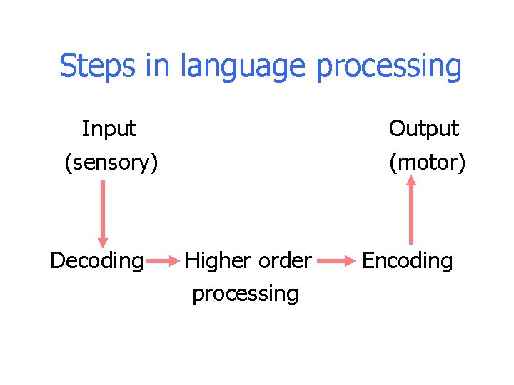 Steps in language processing Input (sensory) Decoding Output (motor) Higher order processing Encoding Steps in language processing Input (sensory) Decoding Output (motor) Higher order processing Encoding