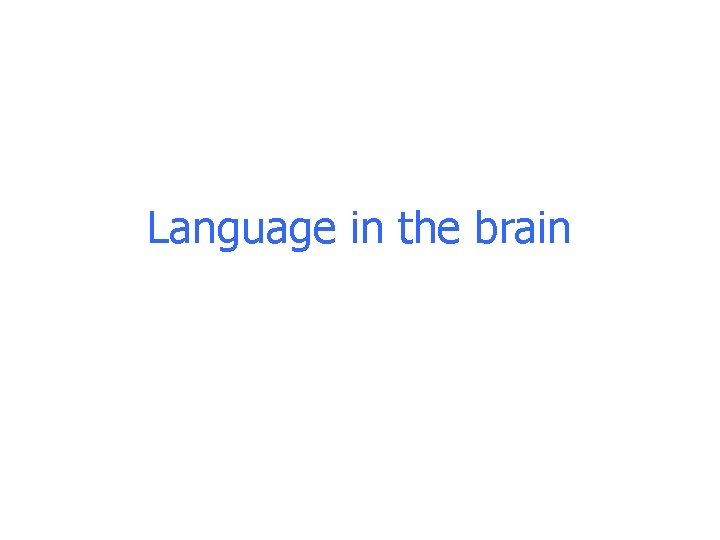 Language in the brain Language in the brain