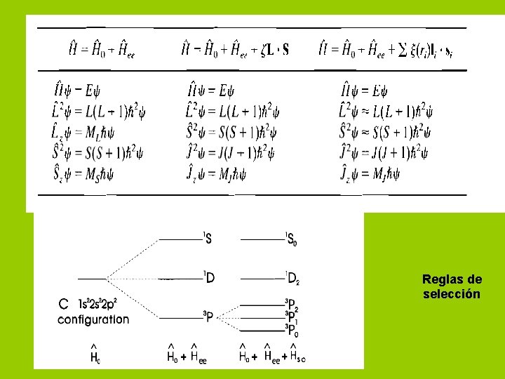 Reglas de selección 
