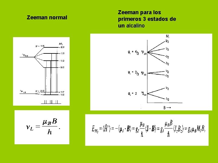 Zeeman normal Zeeman para los primeros 3 estados de un alcalino 