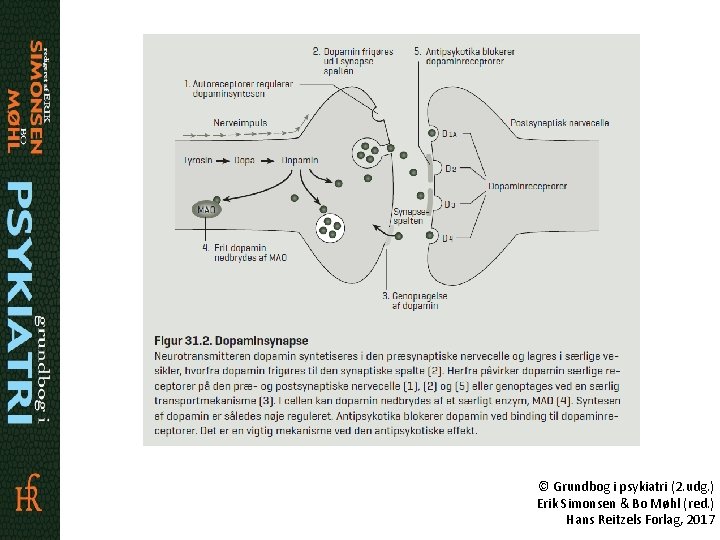 © Grundbog i psykiatri (2. udg. ) Erik Simonsen & Bo Møhl (red. )