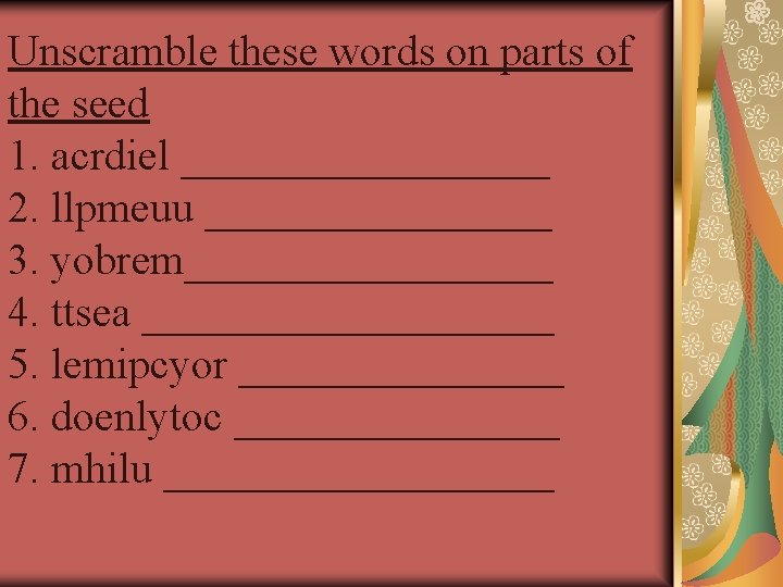 Unscramble these words on parts of the seed 1. acrdiel _________ 2. llpmeuu ________