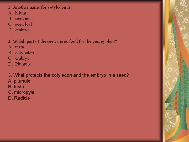 1. Another name for cotyledon is: A. hilum B. seed coat C. seed leaf