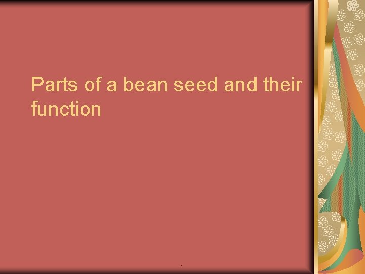 Parts of a bean seed and their function ; 