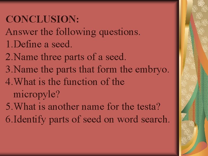  CONCLUSION: Answer the following questions. 1. Define a seed. 2. Name three parts