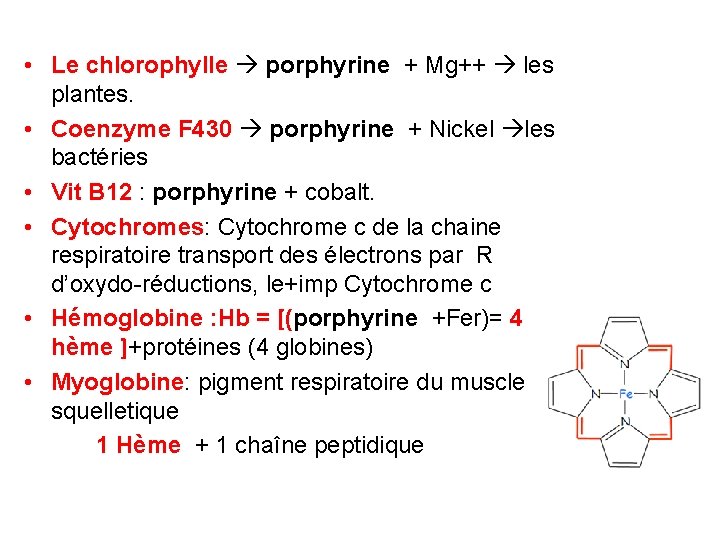  • Le chlorophylle porphyrine + Mg++ les plantes. • Coenzyme F 430 porphyrine