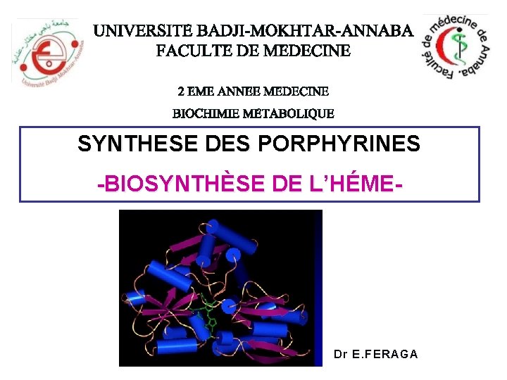 SYNTHESE DES PORPHYRINES -BIOSYNTHÈSE DE L’HÉME- Dr E. FERAGA 