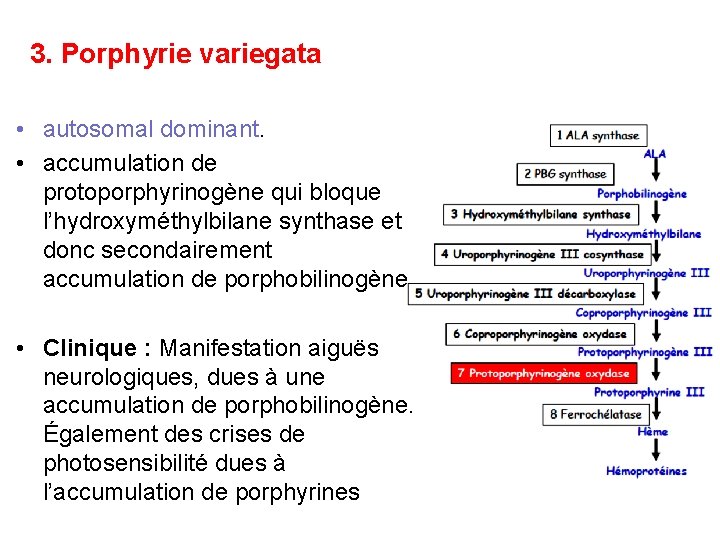 3. Porphyrie variegata • autosomal dominant. • accumulation de protoporphyrinogène qui bloque l’hydroxyméthylbilane synthase
