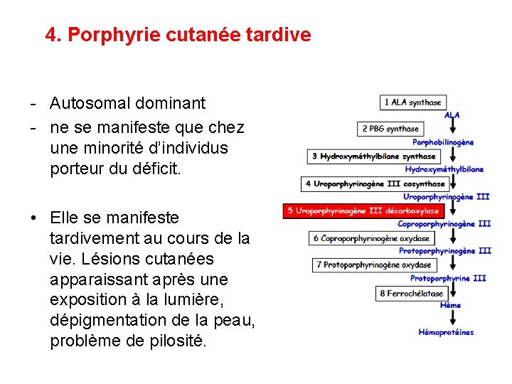 4. Porphyrie cutanée tardive - Autosomal dominant - ne se manifeste que chez une