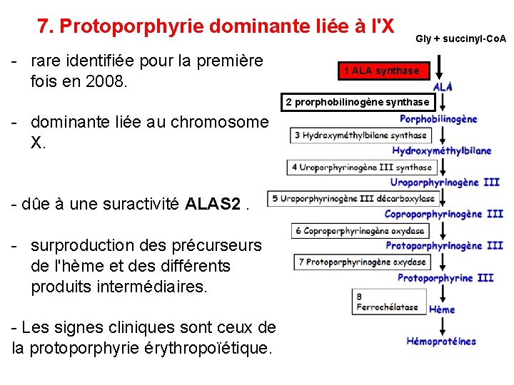 7. Protoporphyrie dominante liée à l'X - rare identifiée pour la première fois en