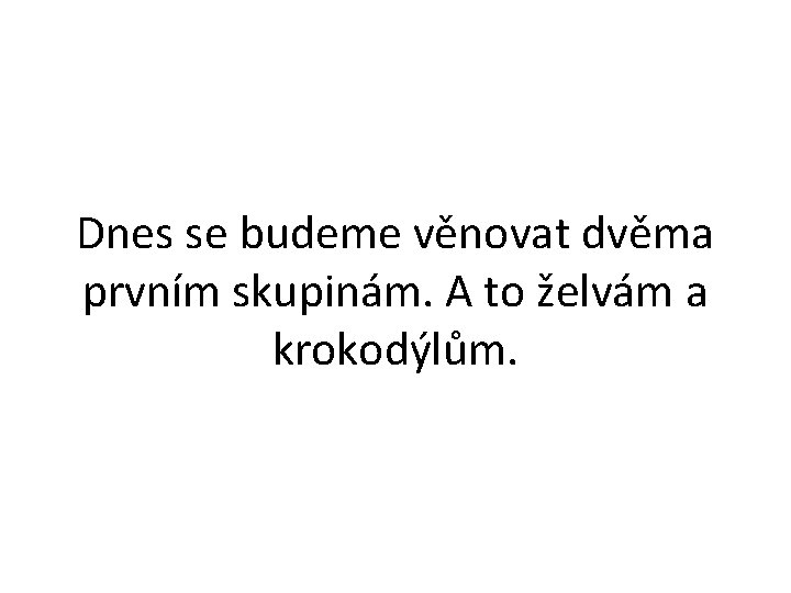 Dnes se budeme věnovat dvěma prvním skupinám. A to želvám a krokodýlům. 