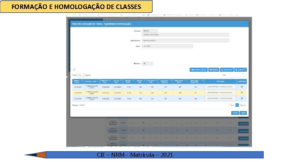 FORMAÇÃO E HOMOLOGAÇÃO DE CLASSES CIE – NRM - Matrícula – 2021 