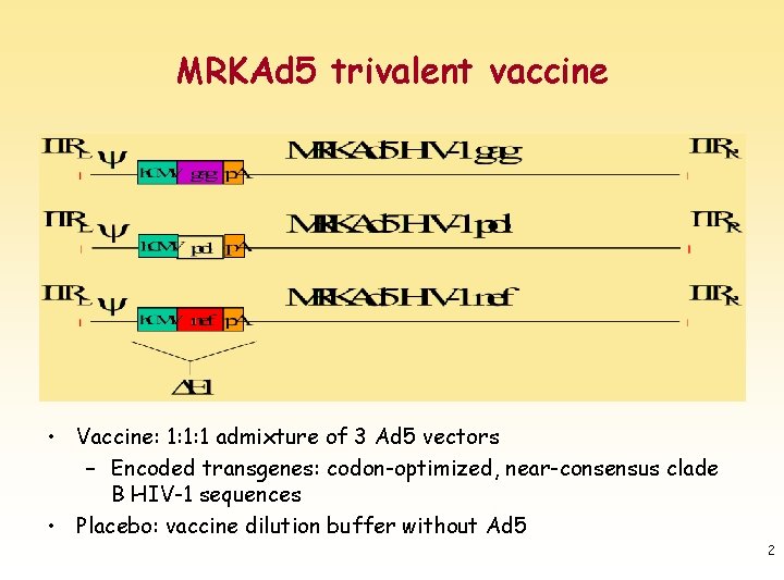 MRKAd 5 trivalent vaccine • Vaccine: 1: 1: 1 admixture of 3 Ad 5