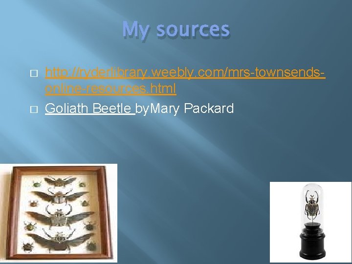 My sources � � http: //ryderlibrary. weebly. com/mrs-townsendsonline-resources. html Goliath Beetle by. Mary Packard