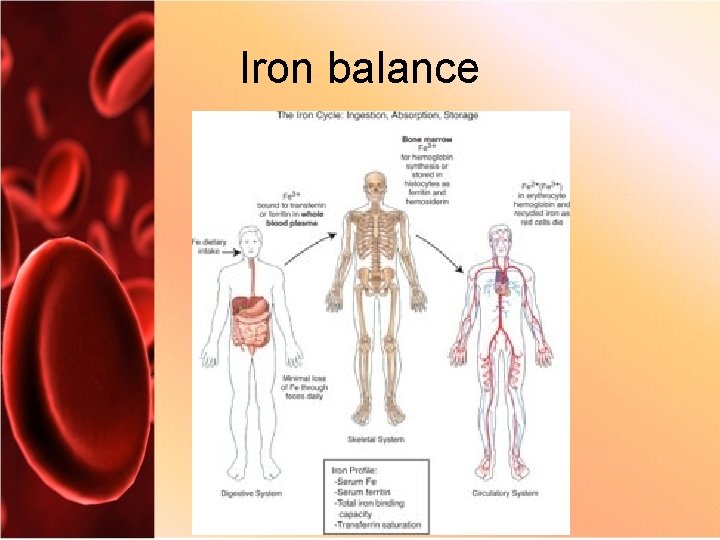 Iron balance 