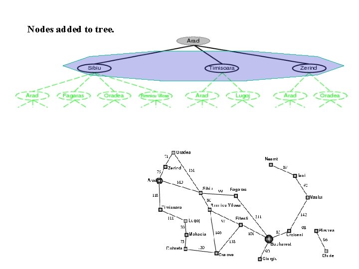 Nodes added to tree. 