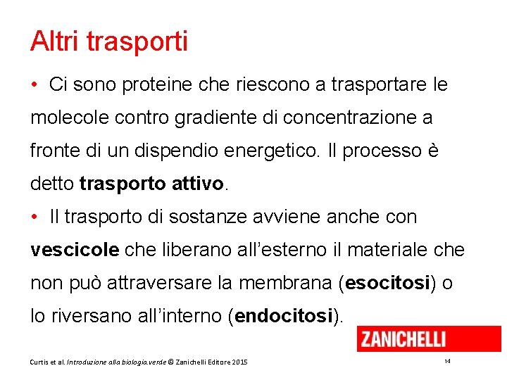 Altri trasporti • Ci sono proteine che riescono a trasportare le molecole contro gradiente