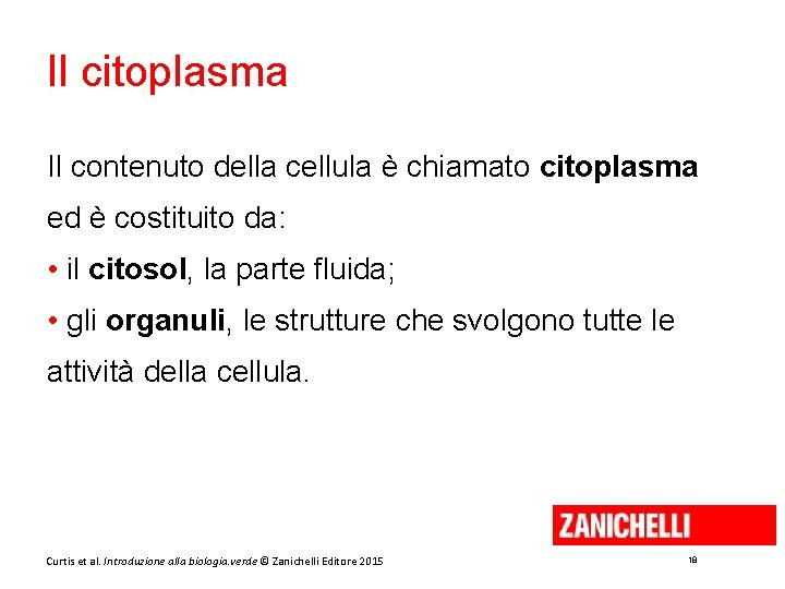 Il citoplasma Il contenuto della cellula è chiamato citoplasma ed è costituito da: •