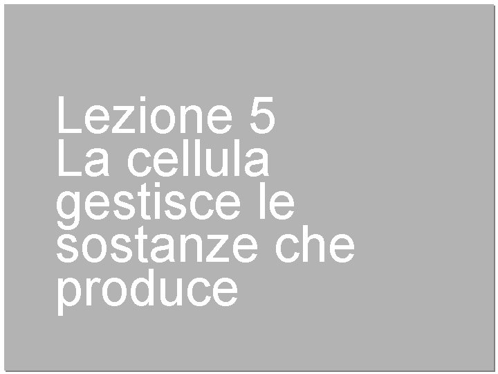 Lezione 5 La cellula gestisce le sostanze che produce 