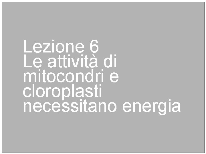 Lezione 6 Le attività di mitocondri e cloroplasti necessitano energia 