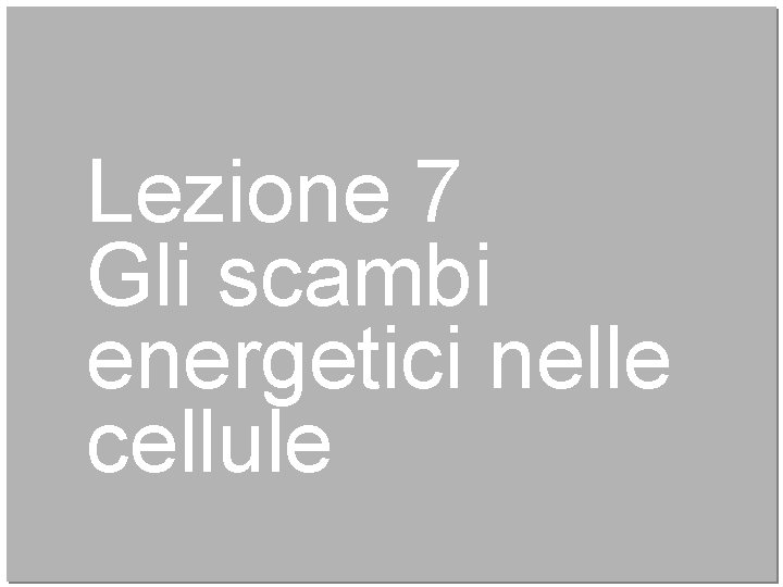 Lezione 7 Gli scambi energetici nelle cellule 