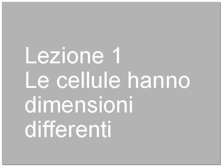 Lezione 1 Le cellule hanno dimensioni differenti 