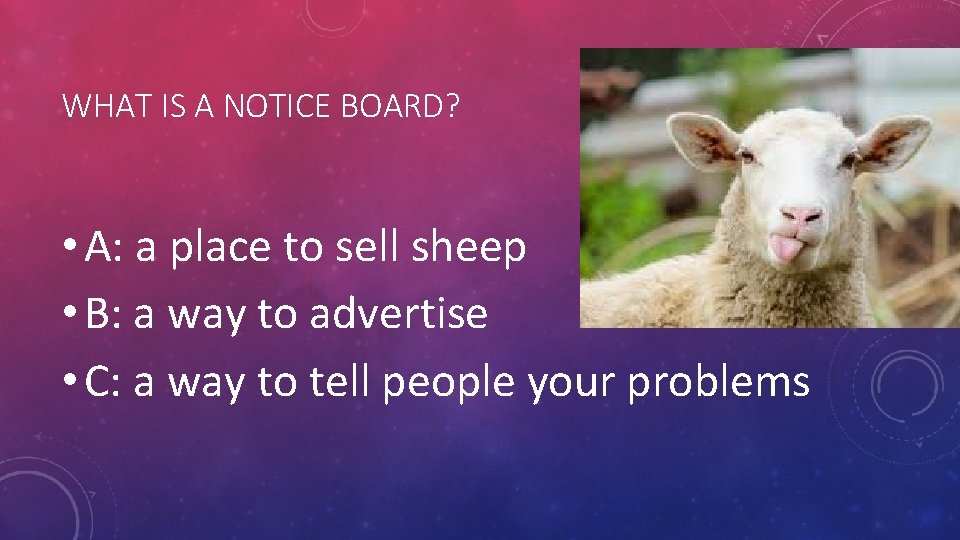 WHAT IS A NOTICE BOARD? • A: a place to sell sheep • B: