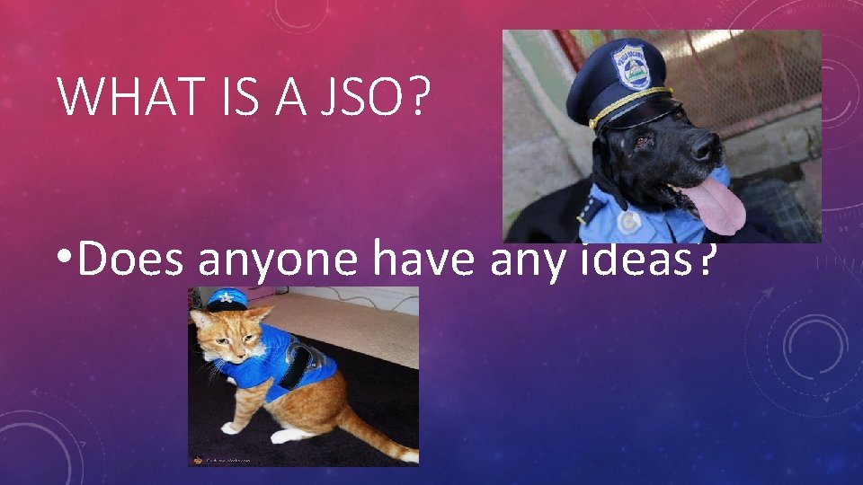 WHAT IS A JSO? • Does anyone have any ideas? 