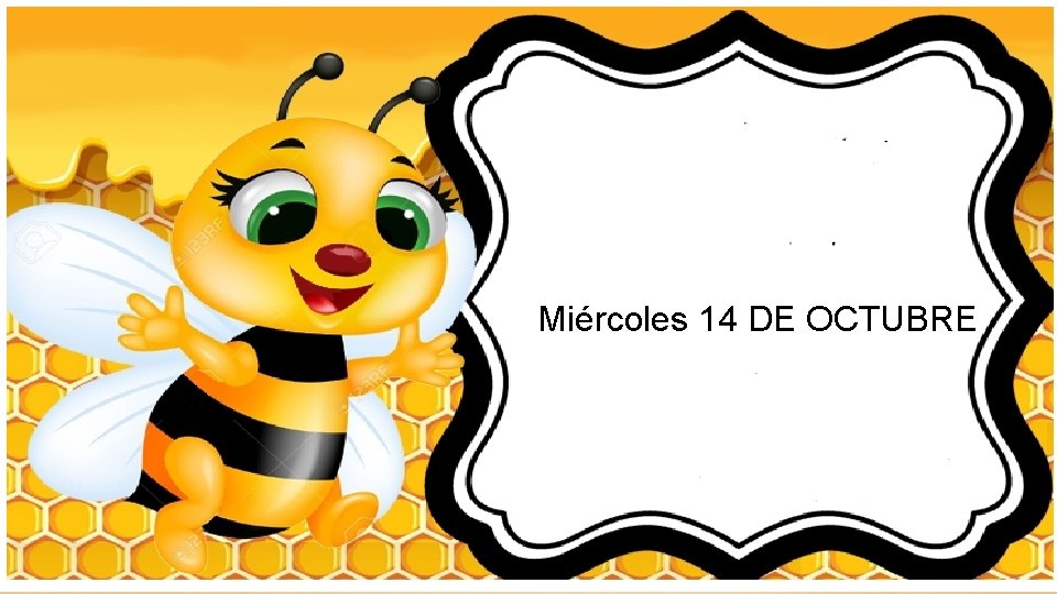 Miércoles 14 DE OCTUBRE 