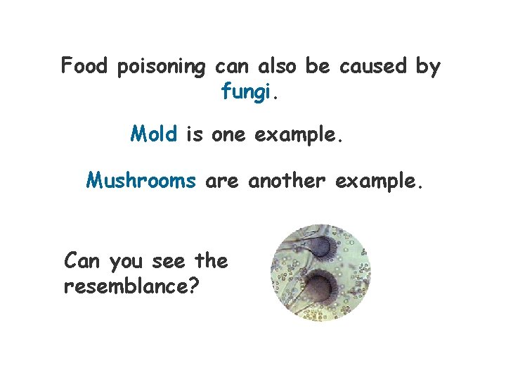 Can You Get Food Poisoning From A Mushroom