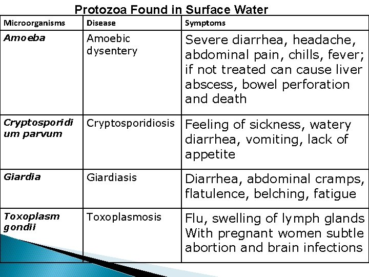 Protozoa Found in Surface Water Microorganisms Disease Symptoms Amoeba Amoebic dysentery Severe diarrhea, headache,