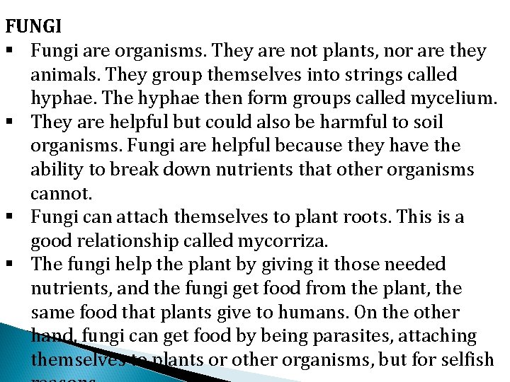 FUNGI § Fungi are organisms. They are not plants, nor are they animals. They