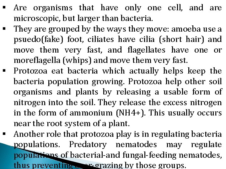 § Are organisms that have only one cell, and are microscopic, but larger than