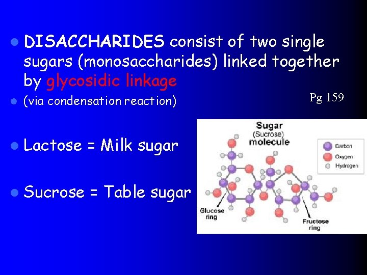 l DISACCHARIDES consist of two single sugars (monosaccharides) linked together by glycosidic linkage l
