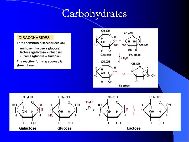 Carbohydrates 