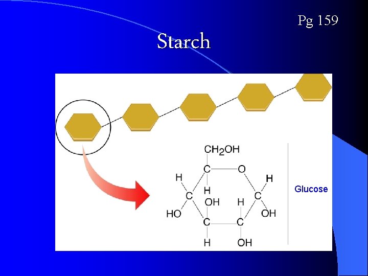 Starch Pg 159 Glucose 