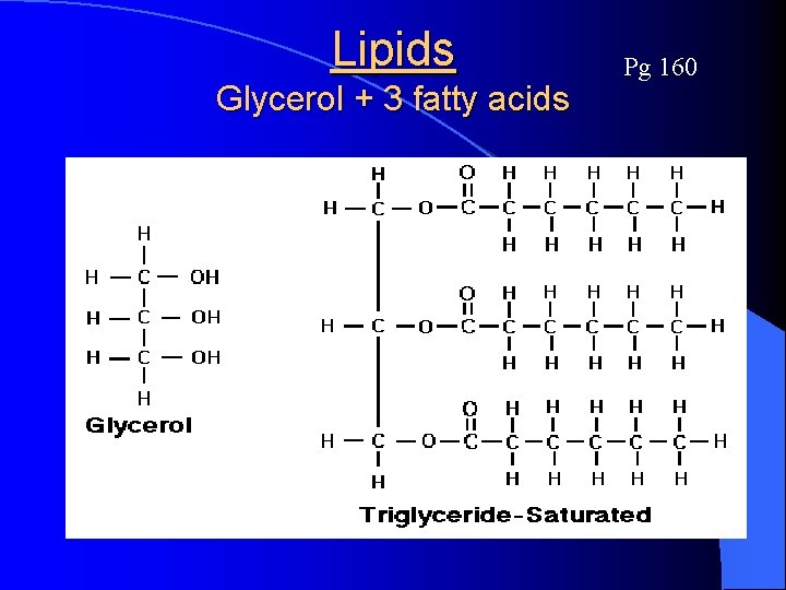 Lipids Glycerol + 3 fatty acids Pg 160 