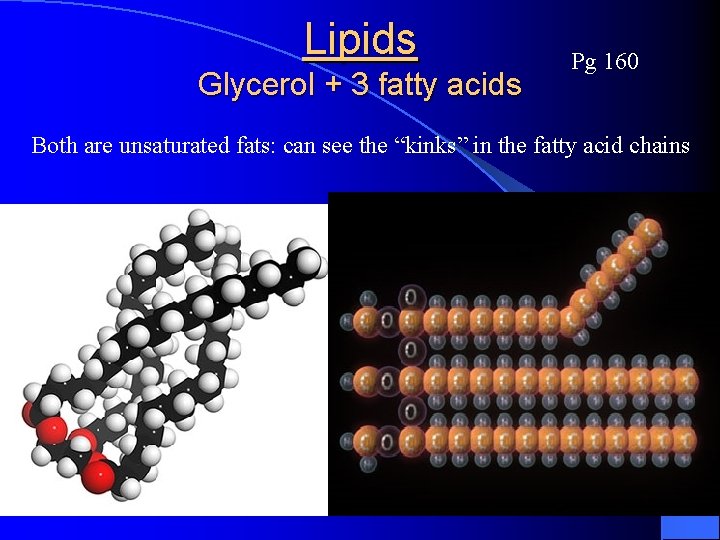 Lipids Glycerol + 3 fatty acids Pg 160 Both are unsaturated fats: can see