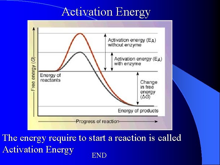 Activation Energy The energy require to start a reaction is called Activation Energy END