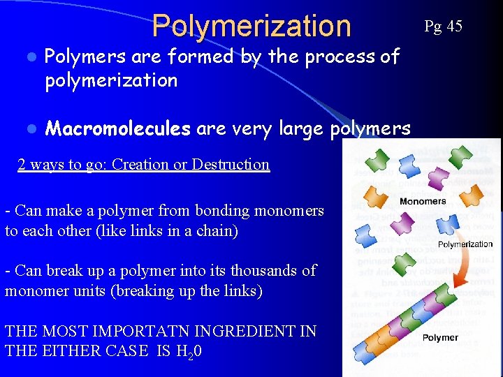 Polymerization l Polymers are formed by the process of polymerization l Macromolecules are very