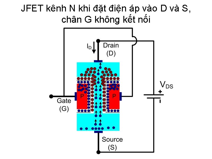 JFET kênh N khi đặt điện áp vào D và S, chân G không