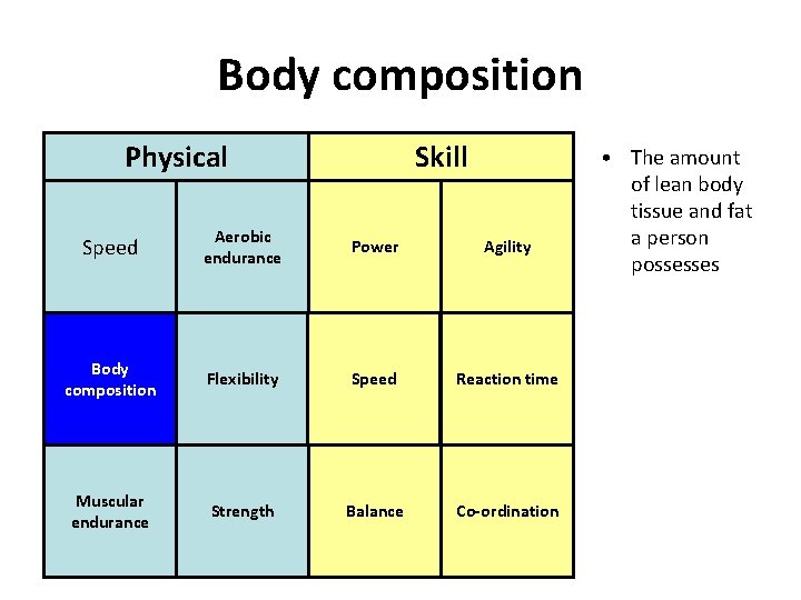 Body composition Physical Skill Speed Aerobic endurance Power Agility Body composition Flexibility Speed Reaction