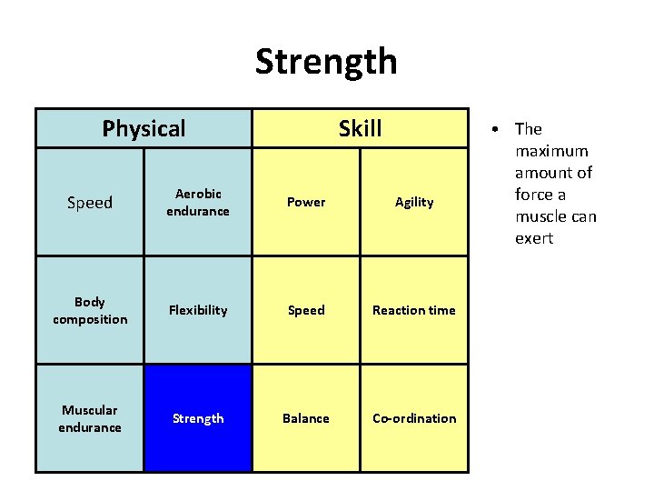 Strength Physical Skill Speed Aerobic endurance Power Agility Body composition Flexibility Speed Reaction time