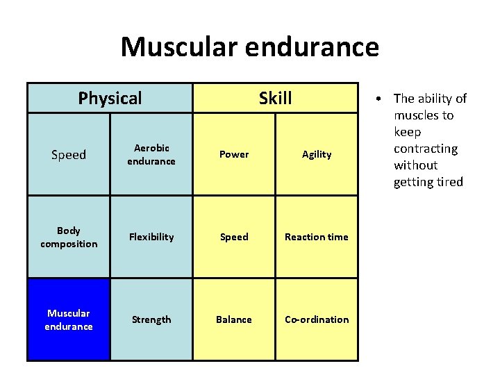 Muscular endurance Physical Skill Speed Aerobic endurance Power Agility Body composition Flexibility Speed Reaction